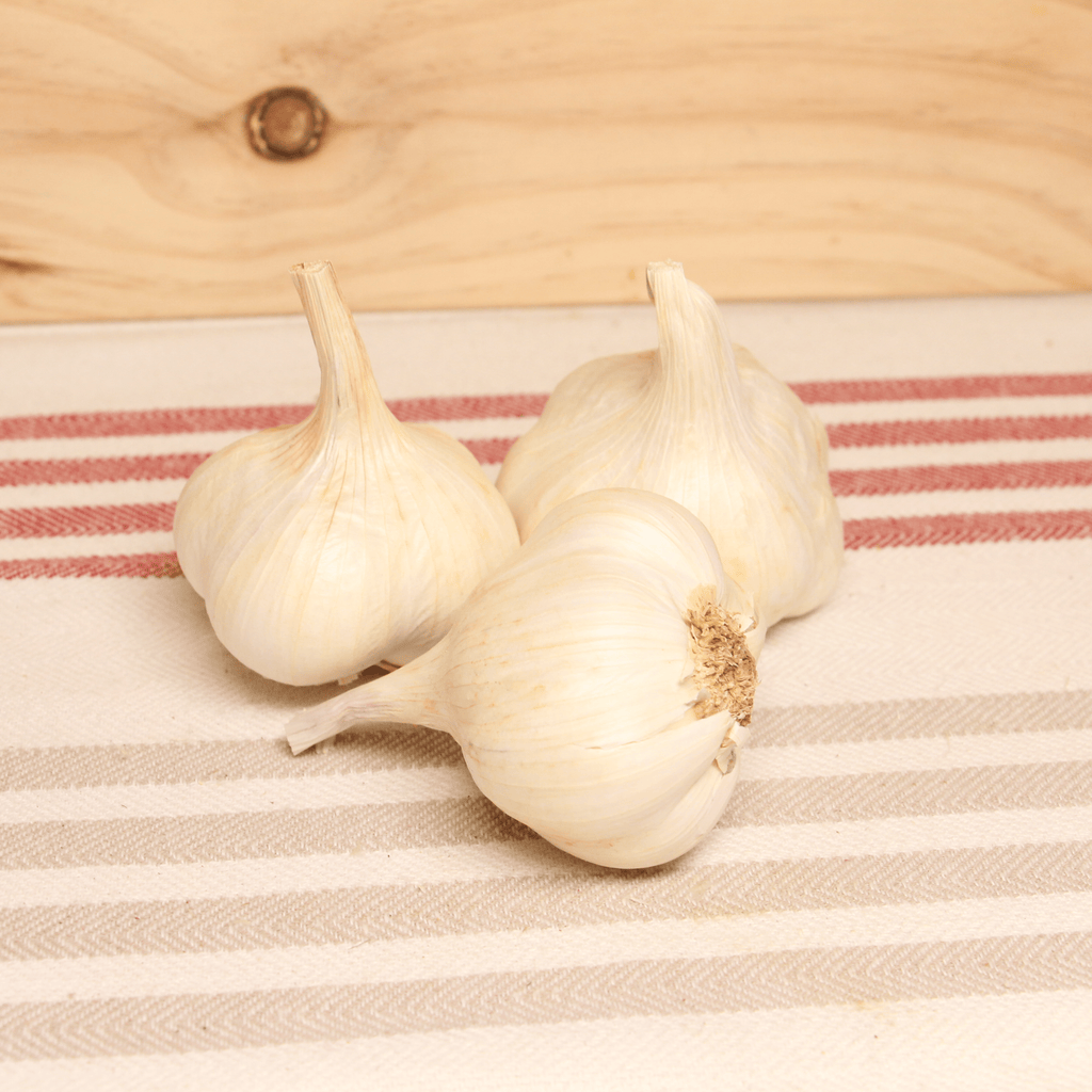 Ail blanc sec BIO France - 100g min Loc'Halle Bio vrac-zero-dechet-ecolo-saint-andre-cubza