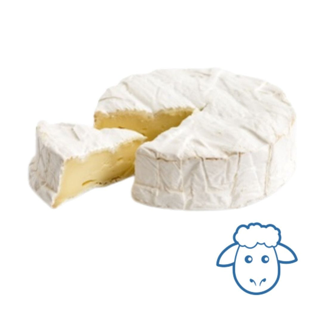 Camembert de brebis - Deli'chou (250g min) - BIO Aux Brebis Délices vrac-zero-dechet-ecolo-saint-andre-cubza