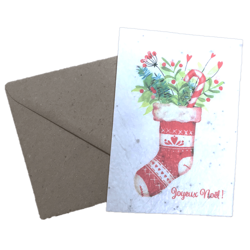 Carte à planter "Joyeux Noël" (format A6) Les Cartes de Lulu vrac-zero-dechet-ecolo-saint-andre-cubza