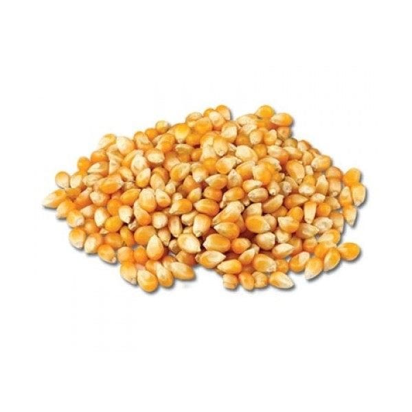 Maïs à pop corn du Sud-Ouest (500g) - BIO Monbio vrac-zero-dechet-ecolo-saint-andre-cubza